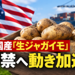 米国産「生ジャガイモ」解禁へ動き加速
