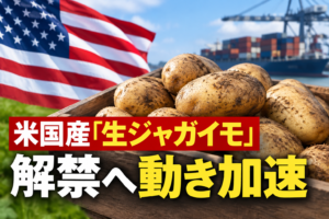 米国産「生ジャガイモ」解禁へ動き加速