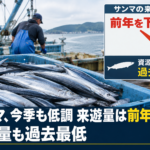 サンマ、今季も低調 来遊量は前年下回り資源も過去最低